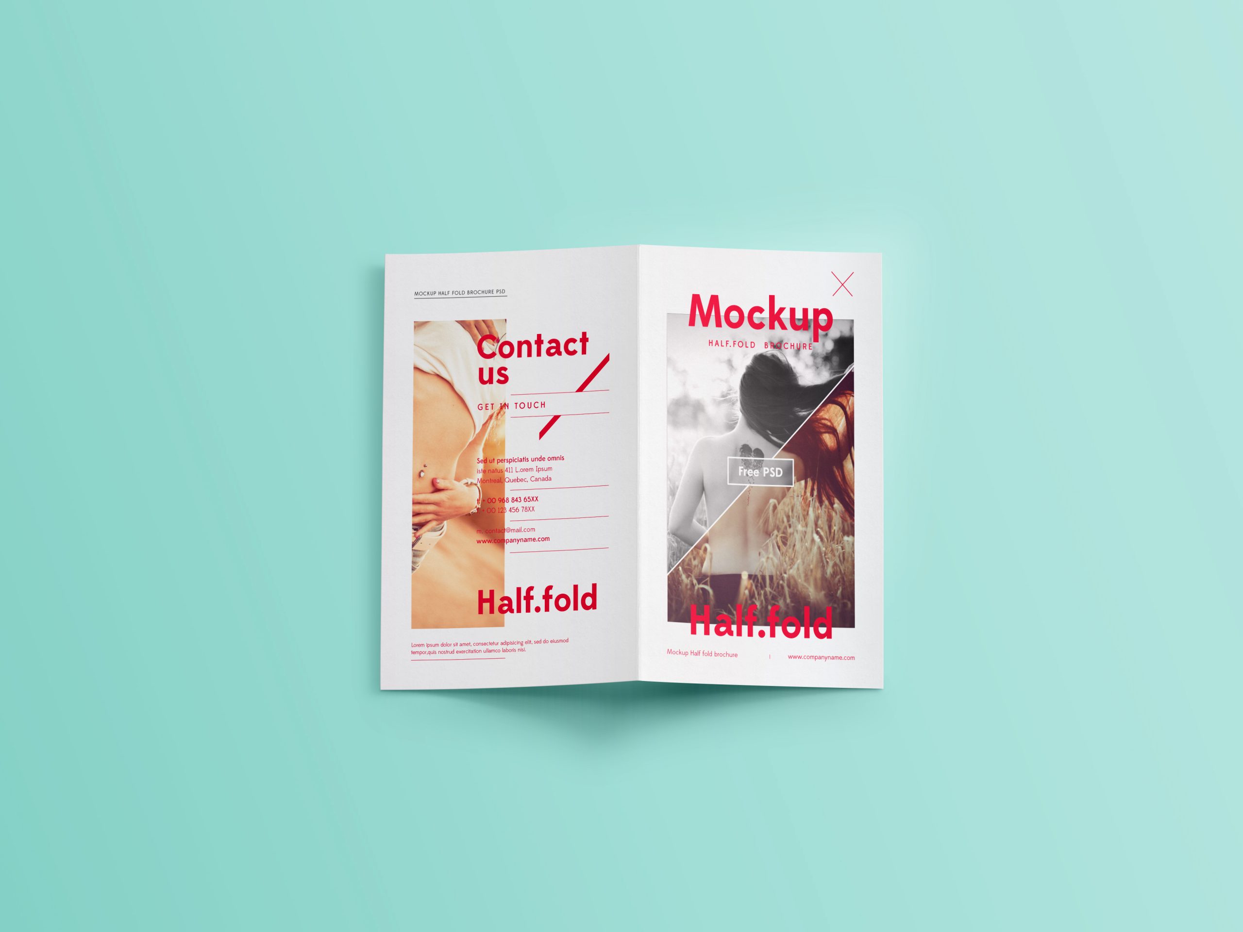 Bi Fold Brochure Mockup