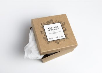 Cardboard Box PSD Mockup