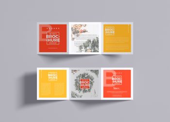 Tri-Fold Brochure Mockup