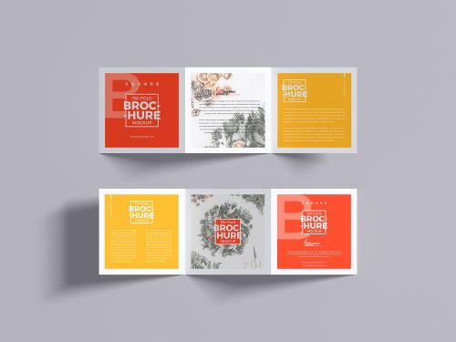 Tri-Fold Brochure Mockup