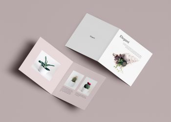 Bi-Fold Brochure Free PSD Mockup