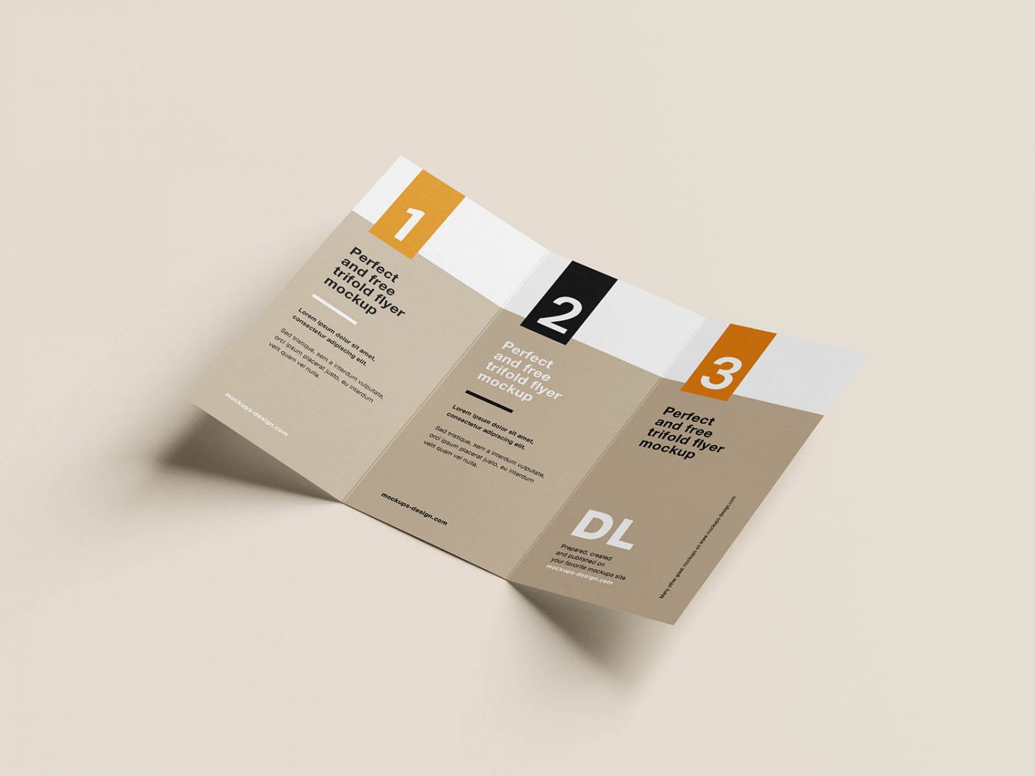 Clean Tri-Fold DL Flyer Mockup