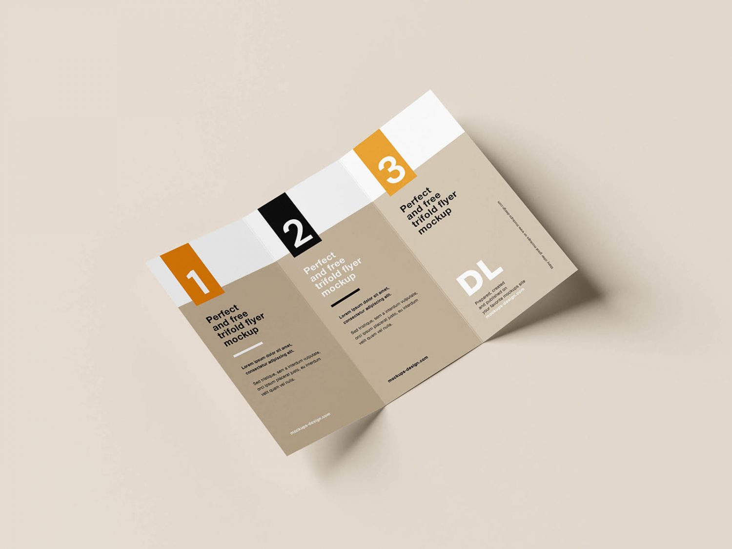 Clean Tri-Fold DL Flyer Mockup