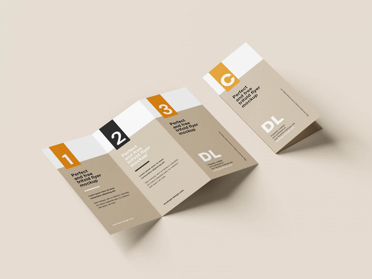 Clean Tri-Fold DL Flyer Mockup