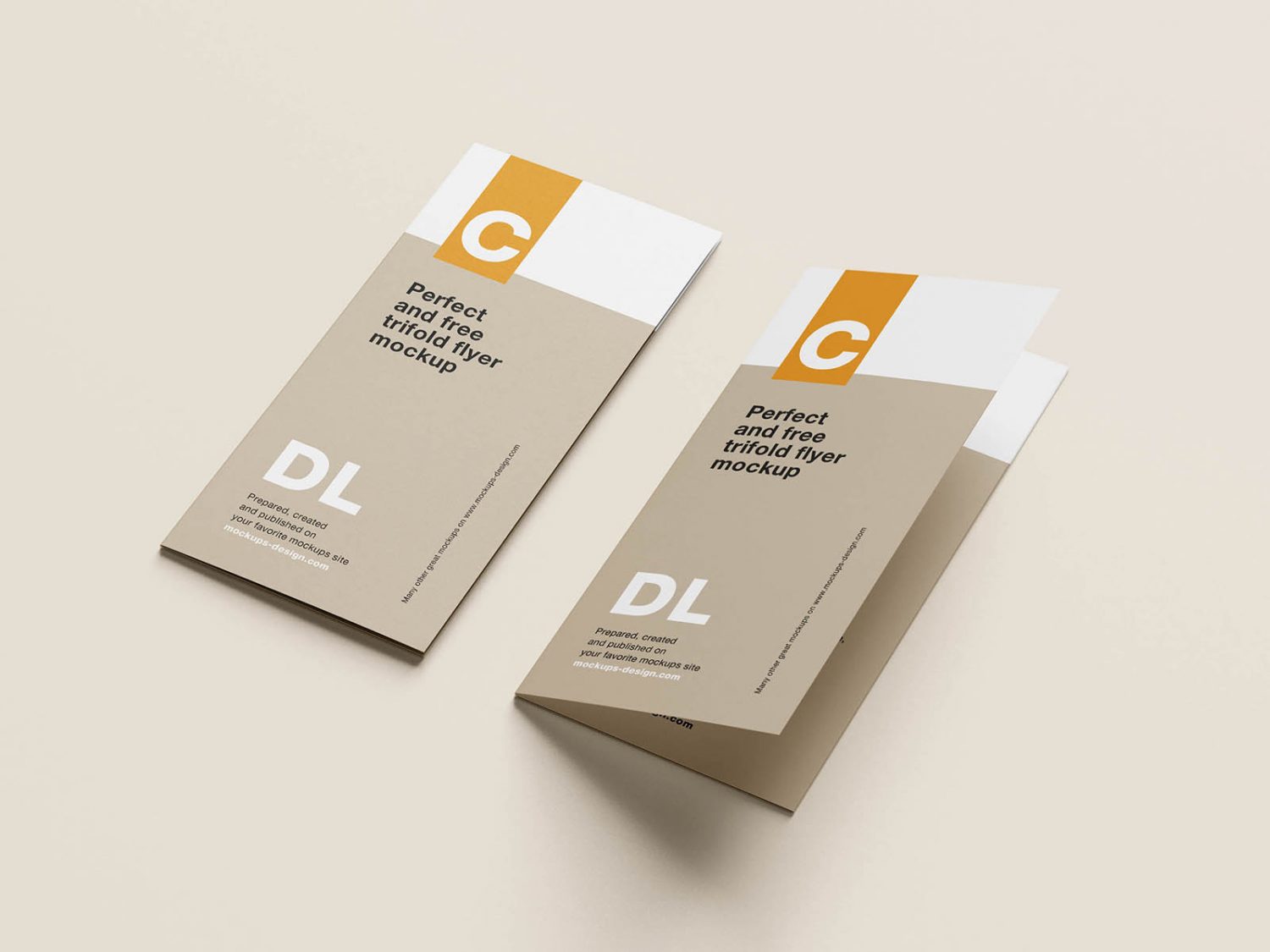 Clean Tri-Fold DL Flyer Mockup