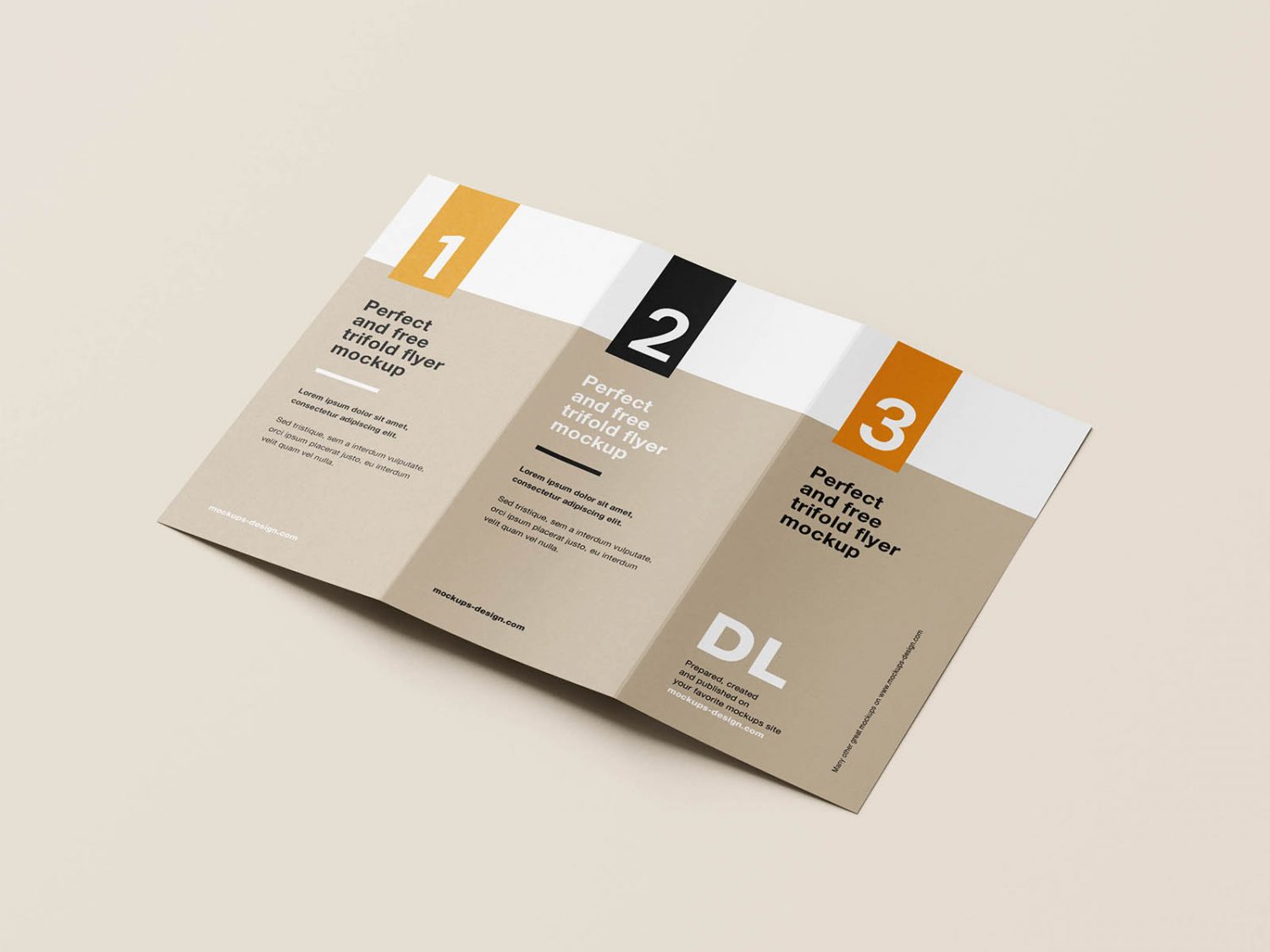 Clean Tri-Fold DL Flyer Mockup