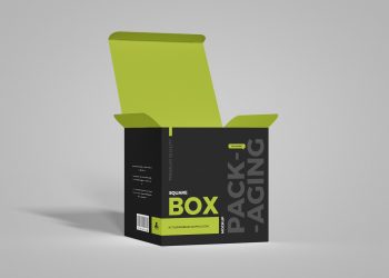 Free Packaging Square Box Mockup