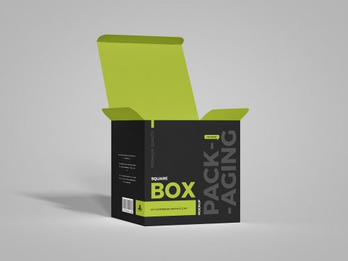 Free Packaging Square Box Mockup