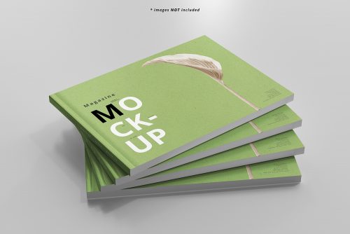 Landscape Magazines Free Mockup