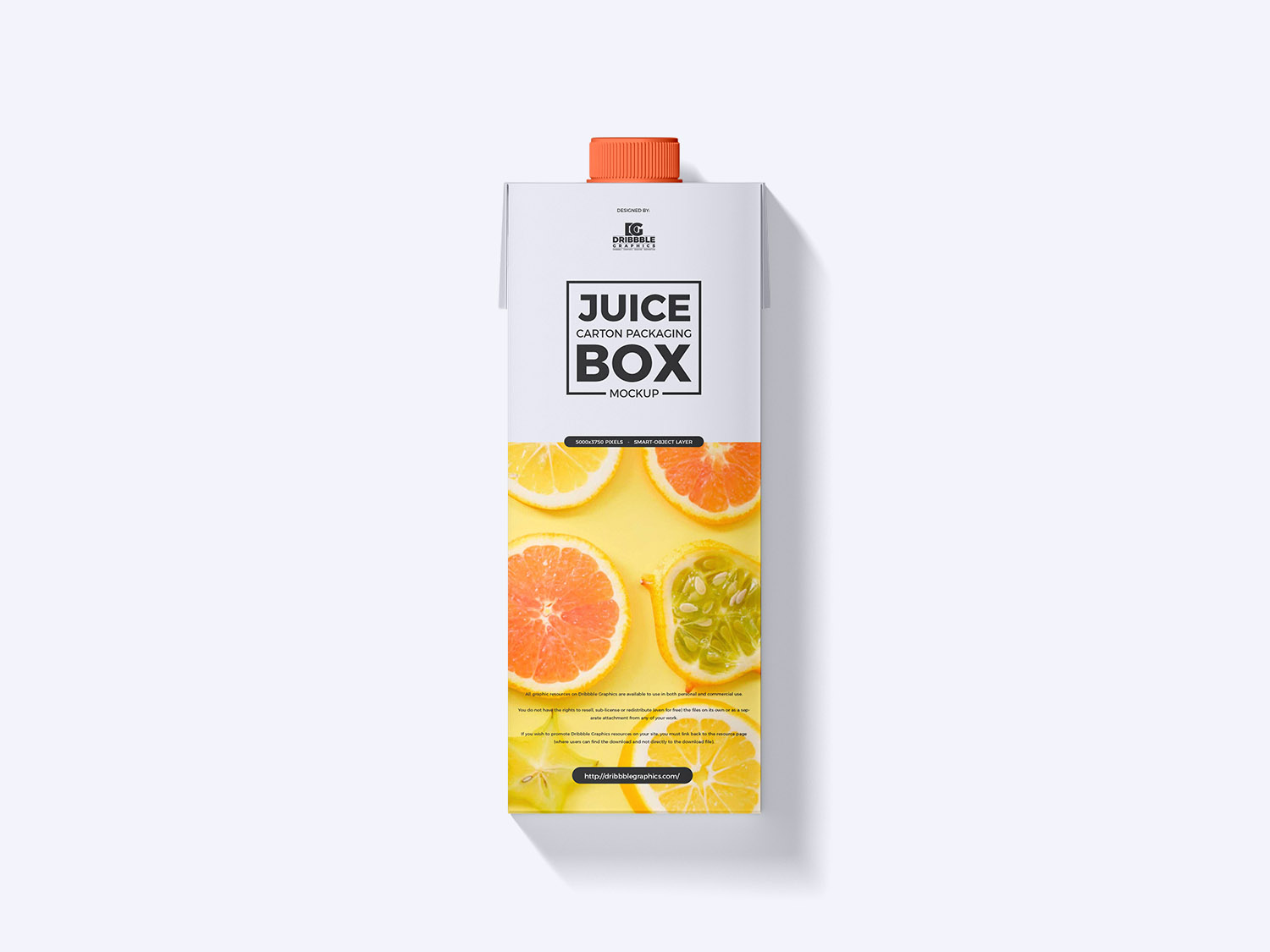 Free Juice Carton Packaging Box Mockup