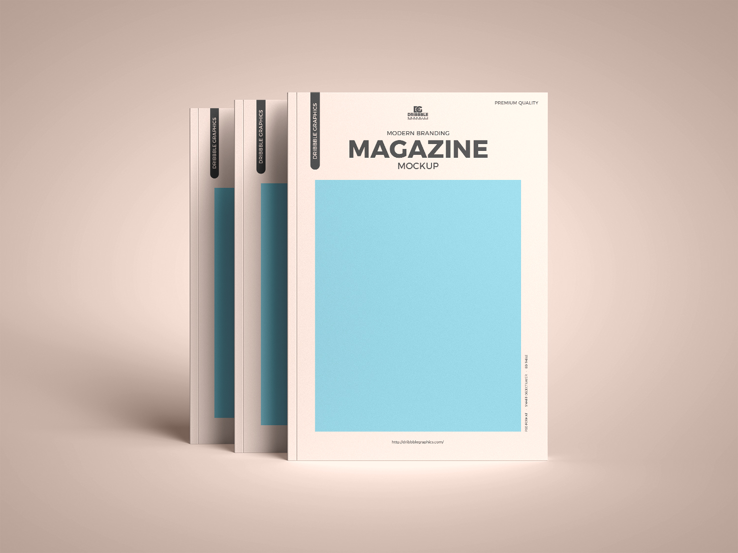 Free Modern Branding Magazine Mockup