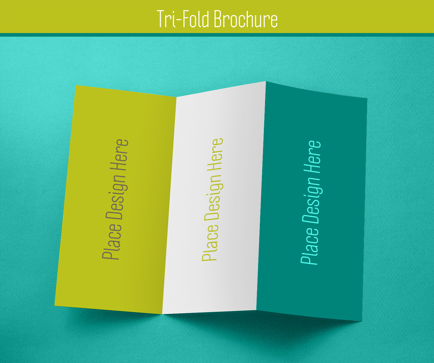 Free Tri-Fold Brochure Mockup
