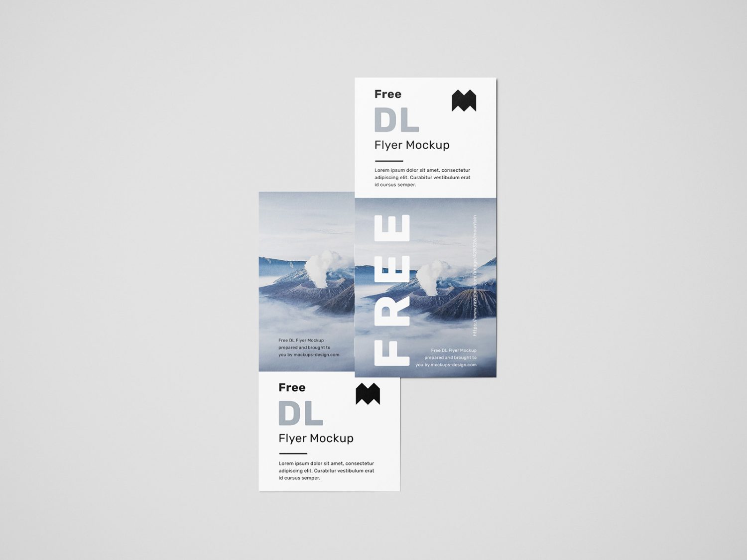 Free Simple DL Flyers Mockup