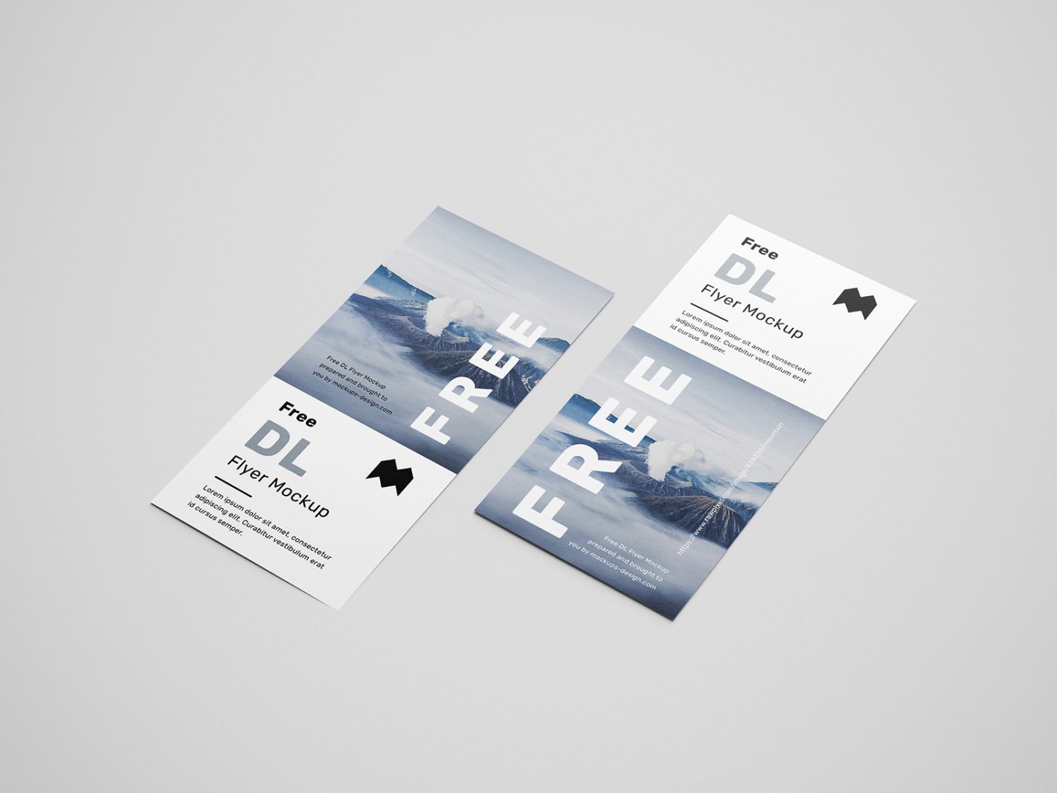 Free Simple DL Flyers Mockup