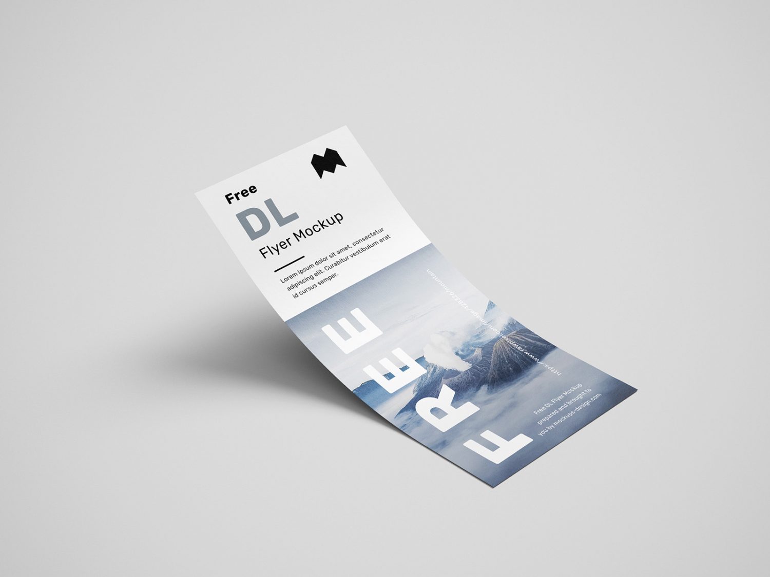 Free Simple DL Flyers Mockup