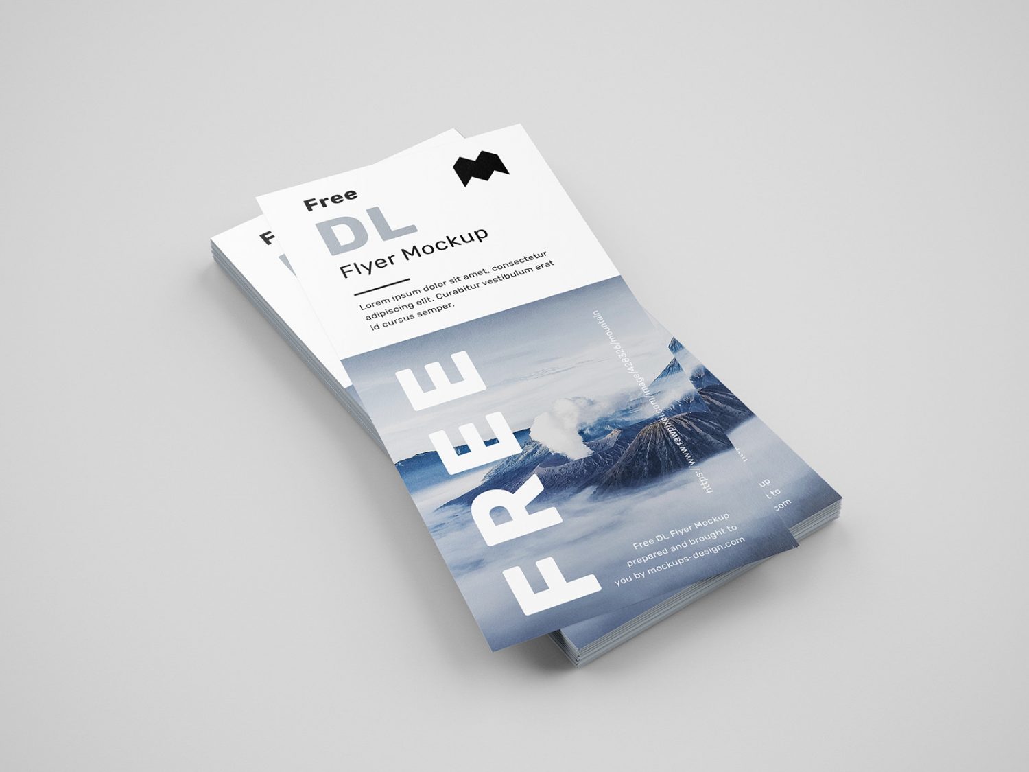 Free Simple DL Flyers Mockup