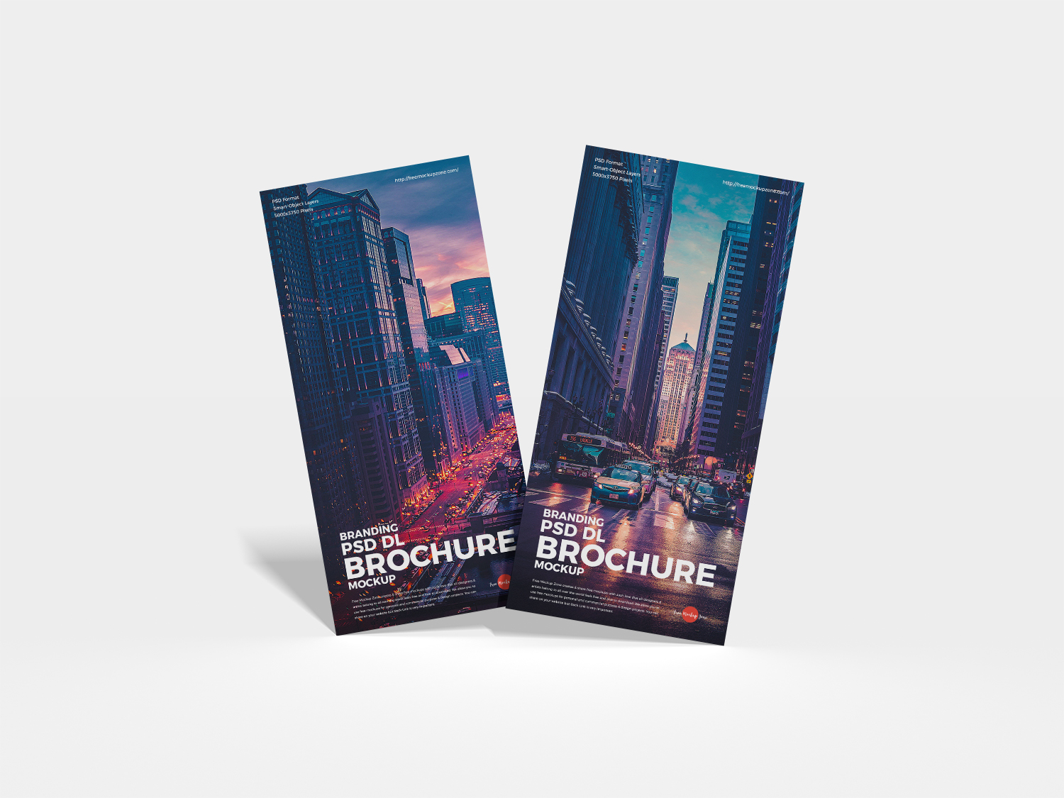 Free Front View Stylish DL Brochure Mockup