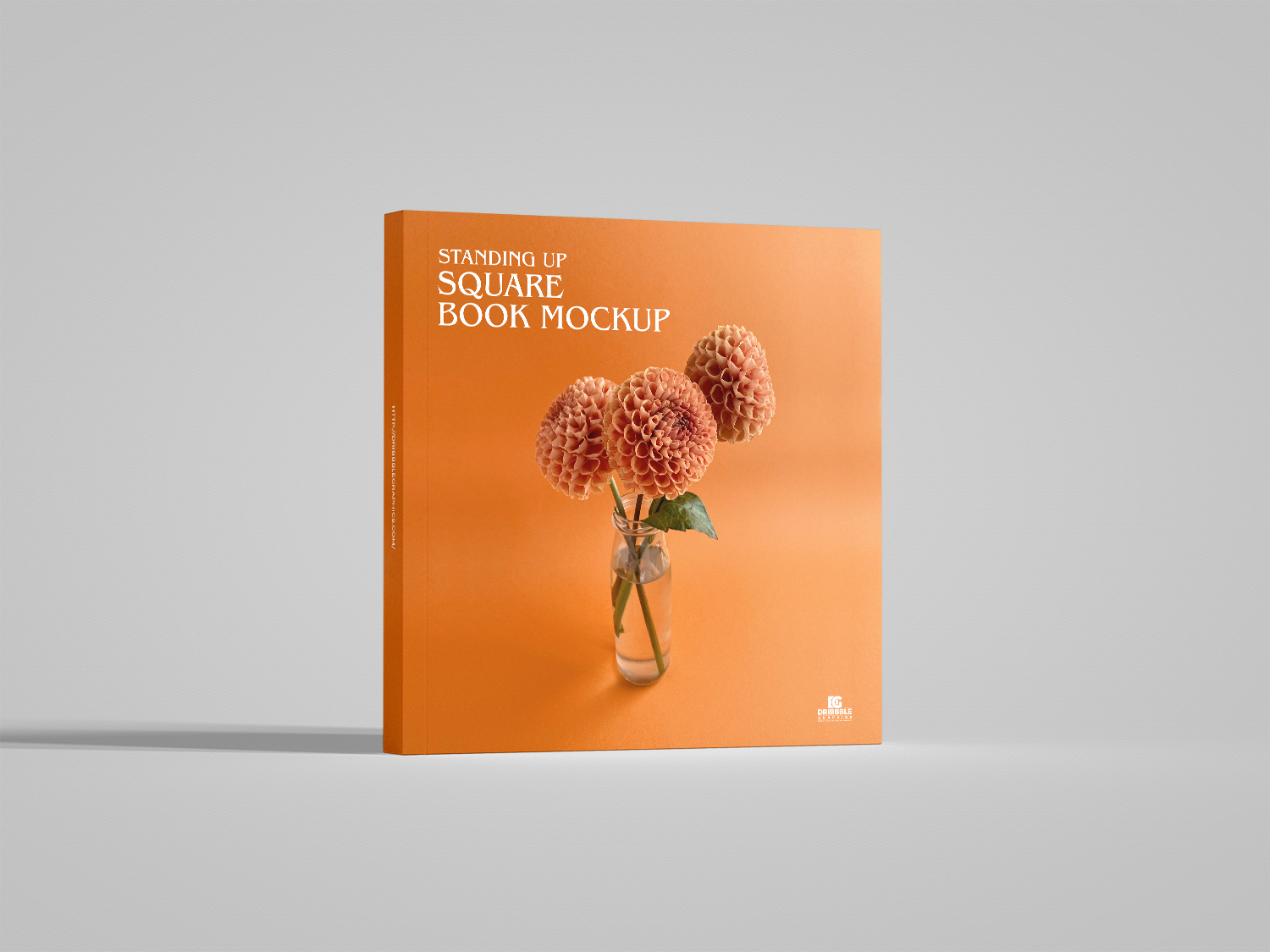 Free Standing Up Square Book Mockup