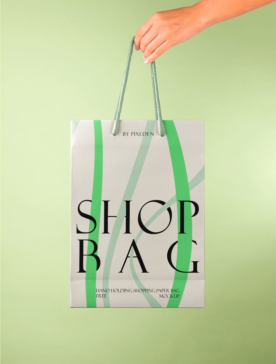 Hand Holding Paper Bag Free Mockup