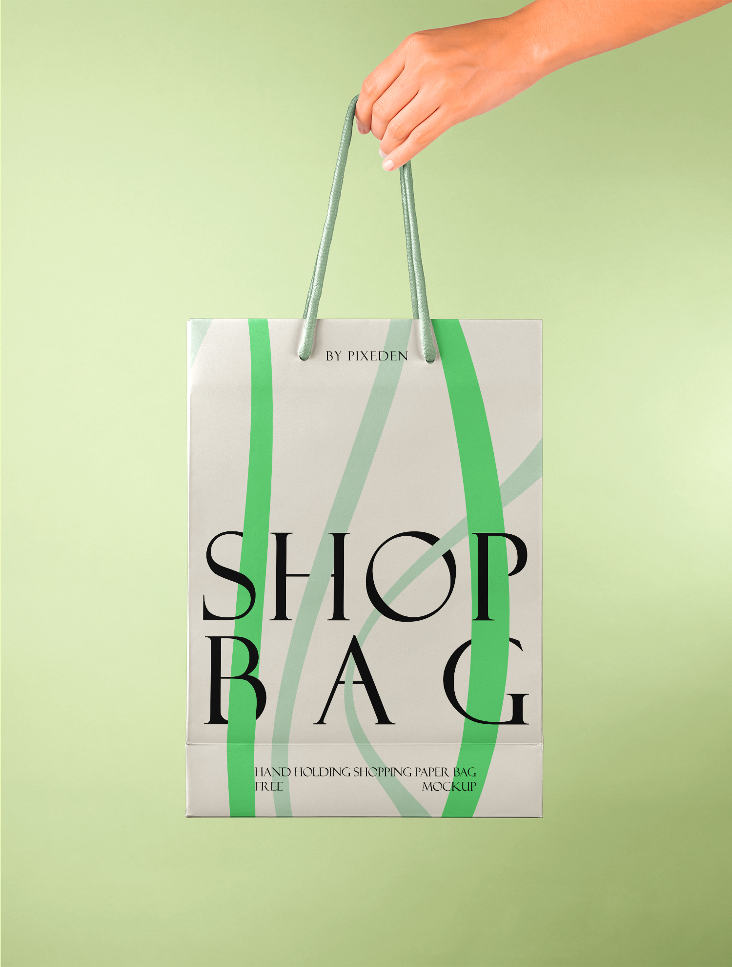 Hand Holding Paper Bag Free Mockup