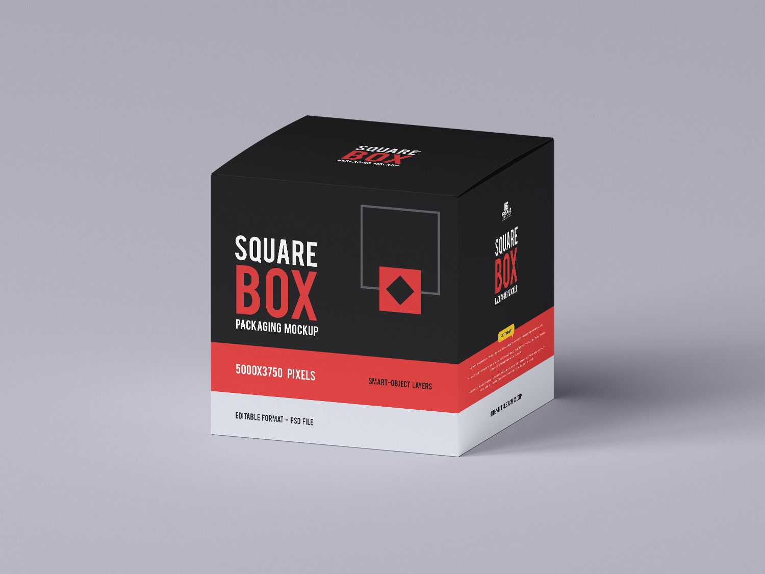 Modern Box Packaging Free Mockup