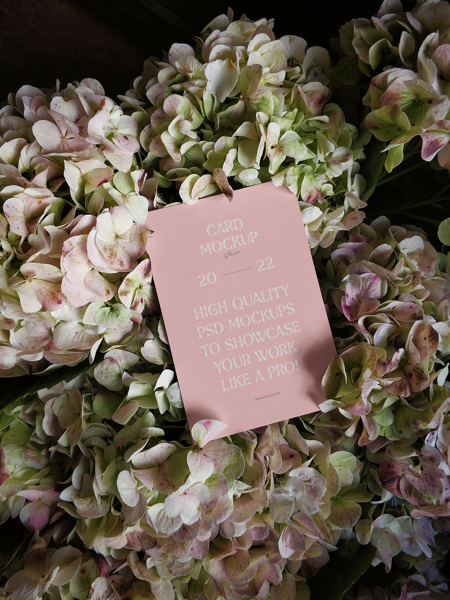 Card Between Flowers Free Mockup