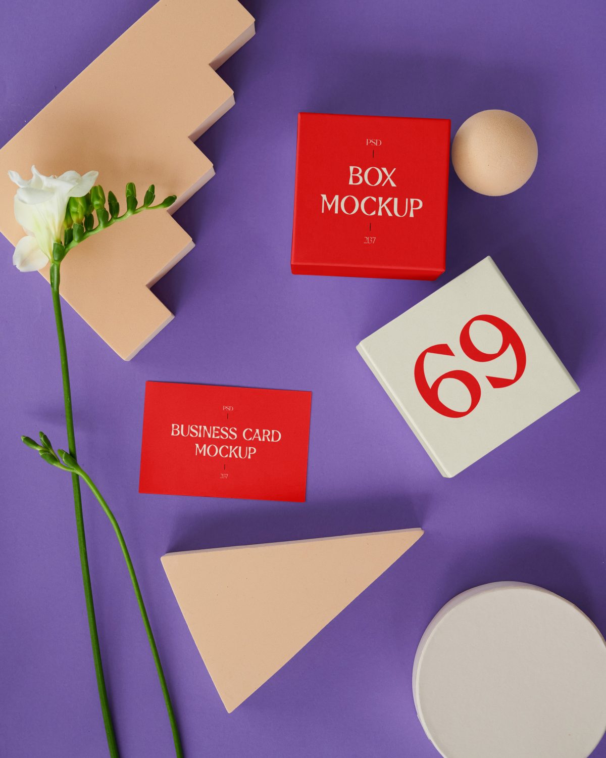 Book & Cards with Figures Free Mockups