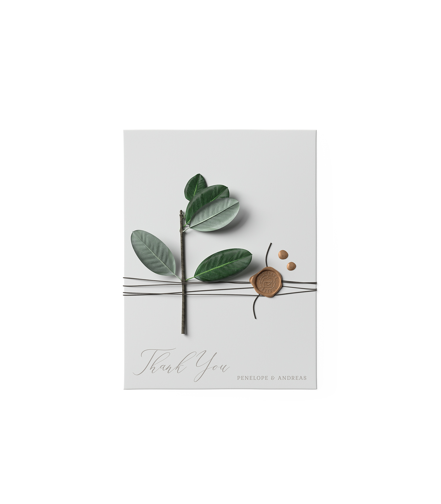 Envelope with Ficus Free Mockup