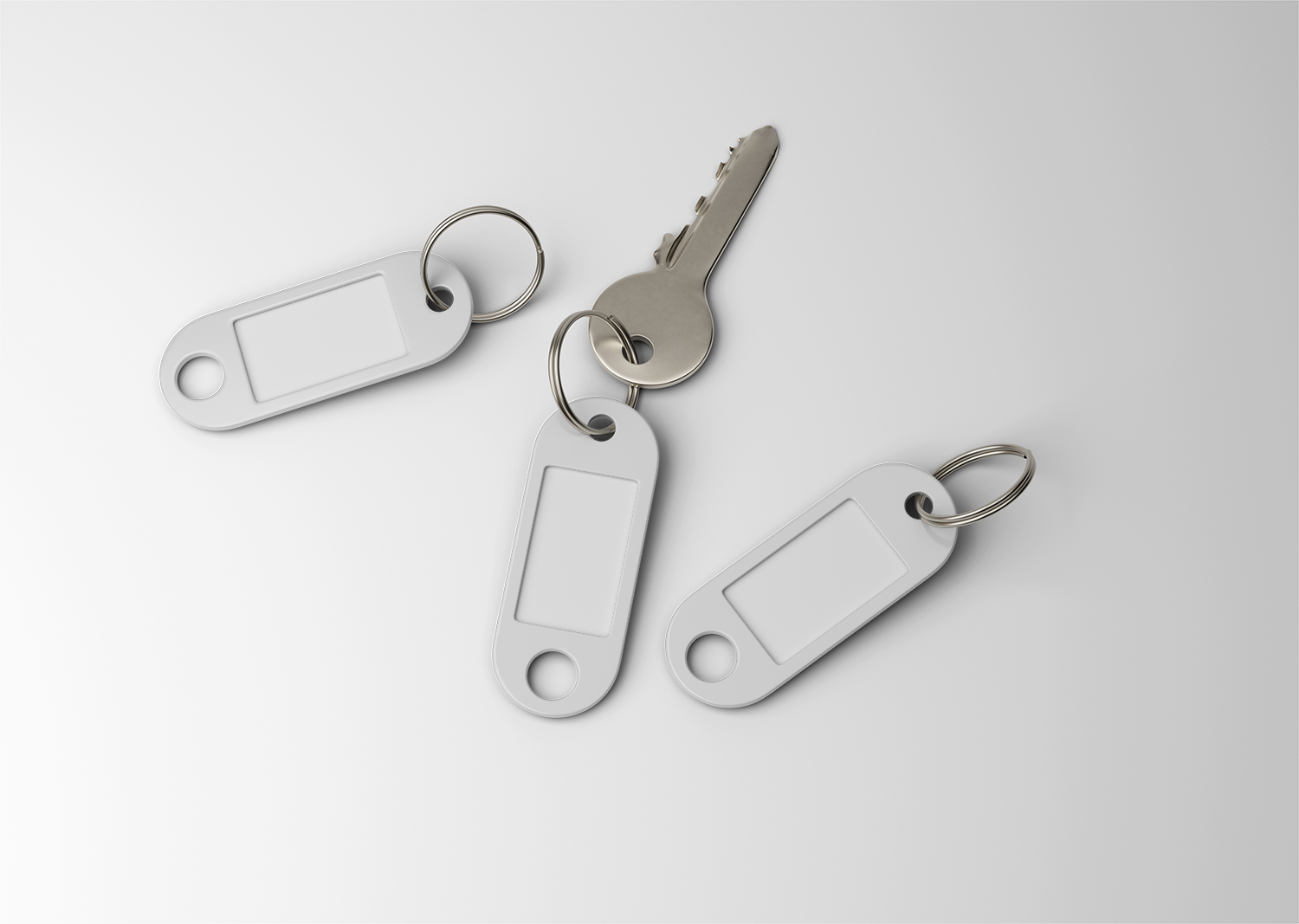 Key Tag Free Mockup