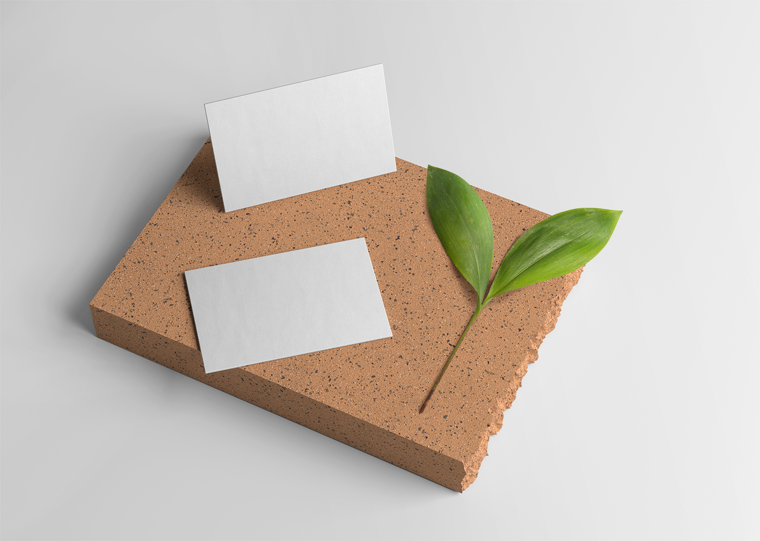 Two Business Card on Brick Free Mockup