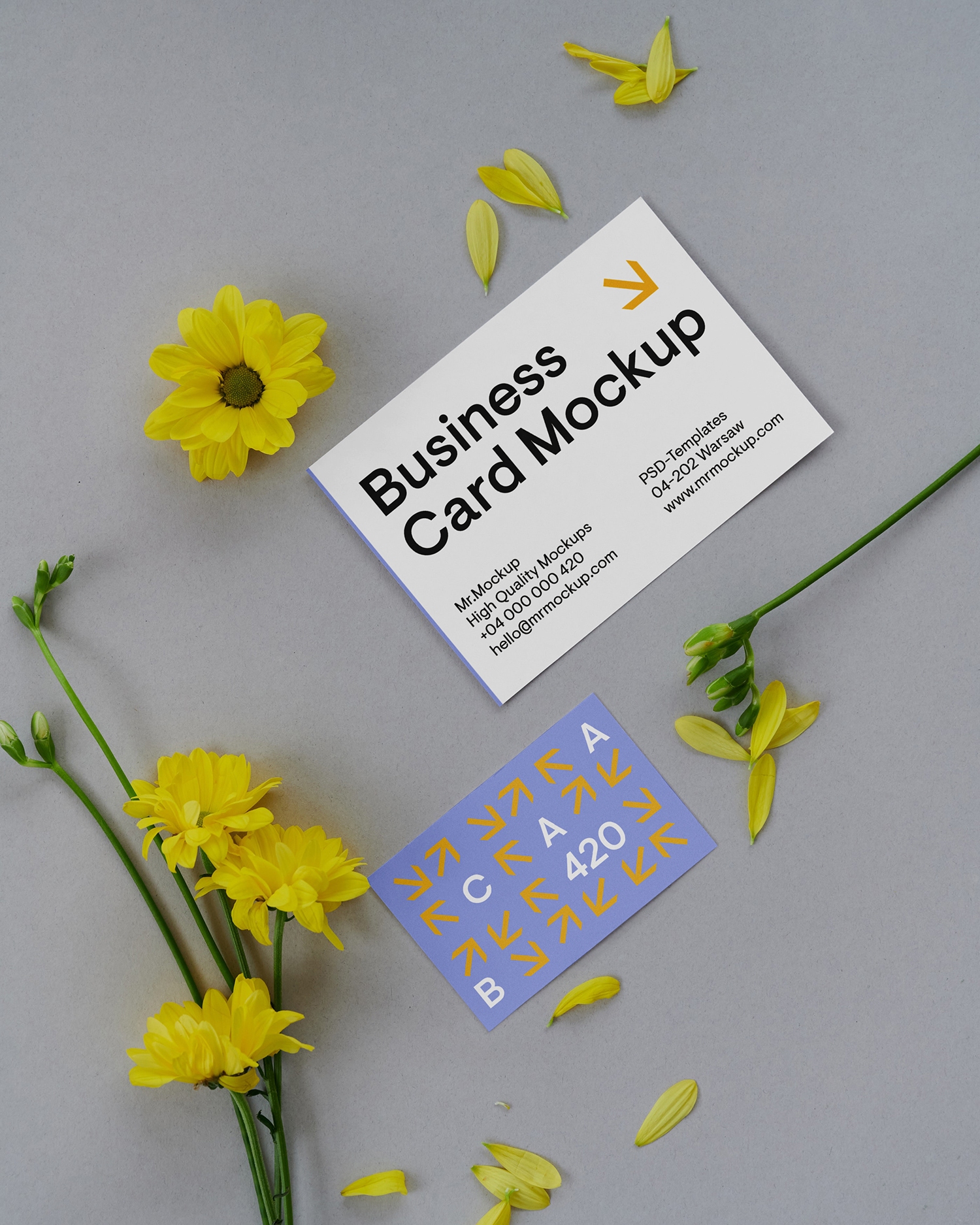 Business Cards on Floor Free Mockup 02