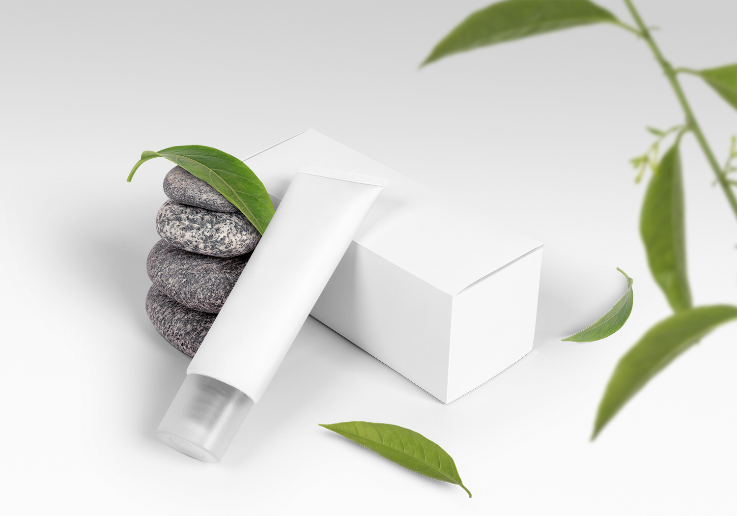 Cosmetic Cream Tube Free Mockup