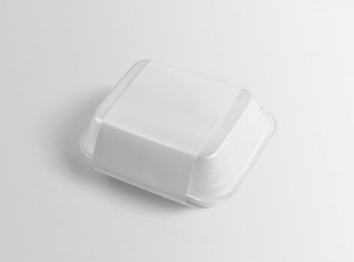 Disposable Food Packaging Free Mockup