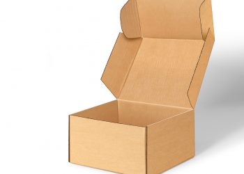 Open Kraft Box Free Mockup