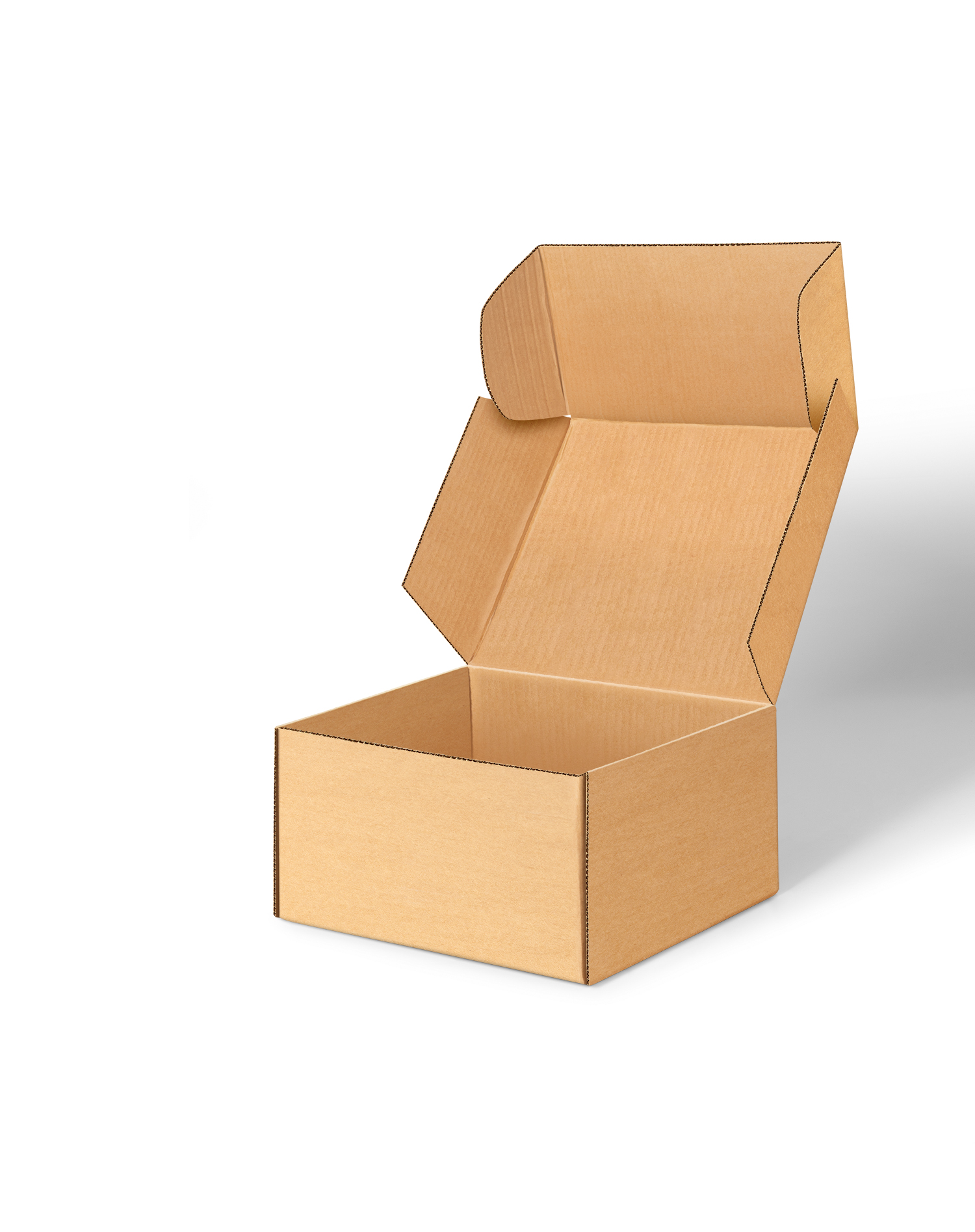 Open Kraft Box Free Mockup