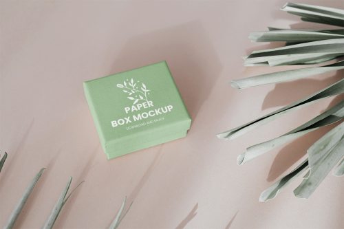 Small Gift Box Free Mockup