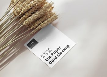 Square Card with Cereal Free Mockup