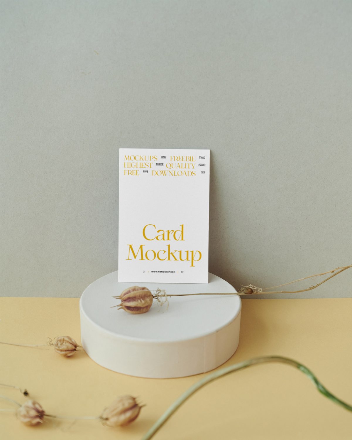 Card on Desk Free Mockups