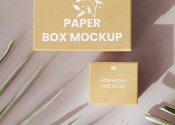 Paper Box Front View Free Mockup