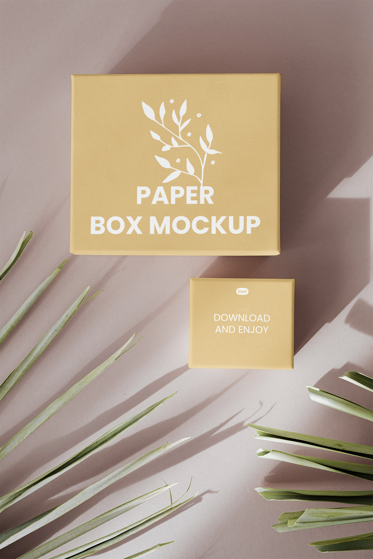 Paper Box Front View Free Mockup