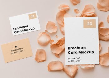 Stationery Card Set with Flower Petal Free Mockup