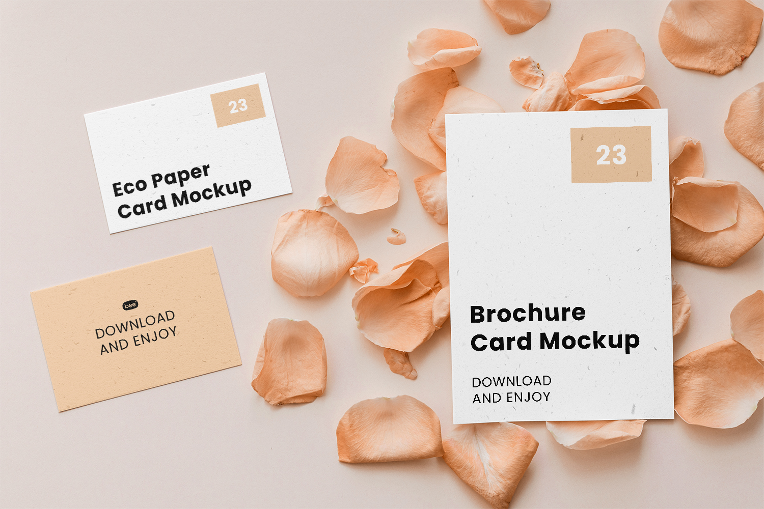 Stationery Card Set with Flower Petal Free Mockup