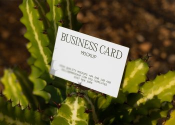 Business Card Among Cactus Free Mockup