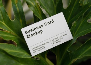 Business Card Between Ficus Free Mockup