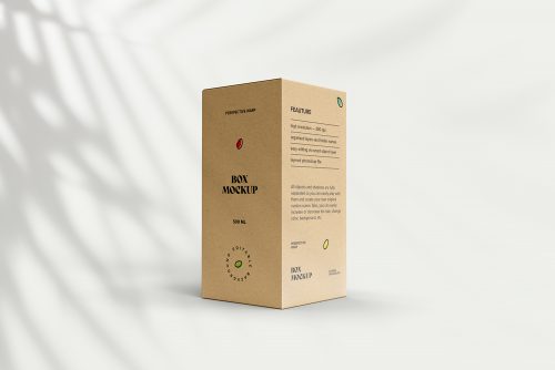 Craft Paper Box Free Mockup