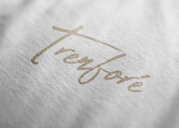 Exquisite Fabric Logo Free Mockup