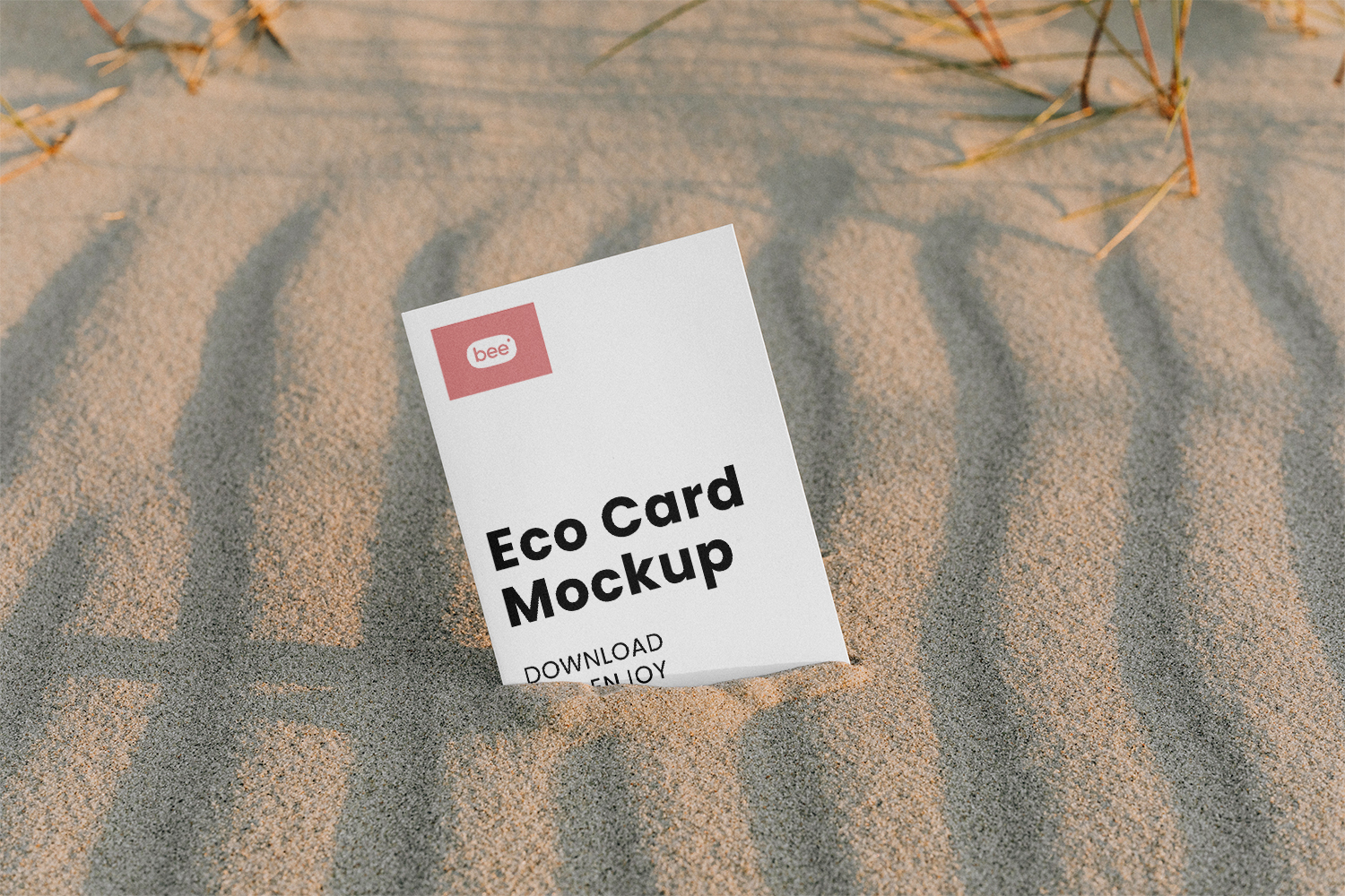 Paper Brochure on Beach Free Mockup