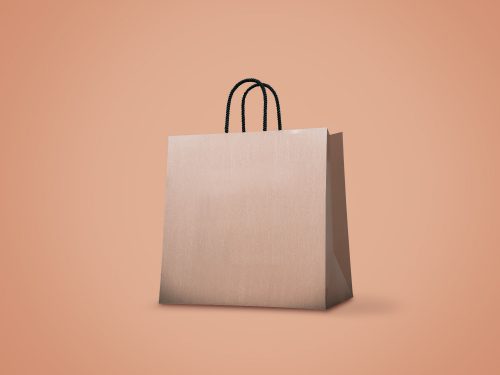 Brown Paper Bag Free Mockup