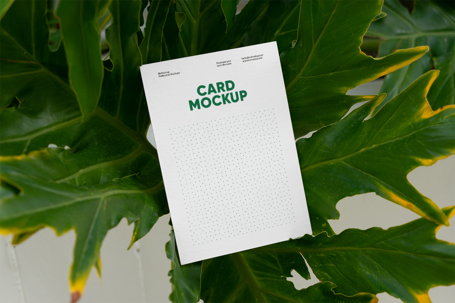 Card beetwen Ficus Free Mockup