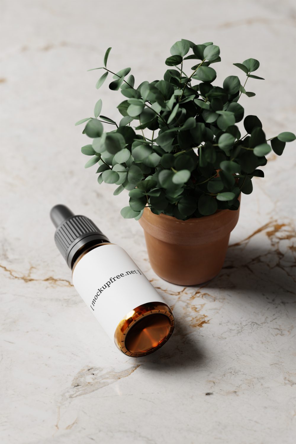 Amber Glass Dropper Bottle with Eucalyptus Plant Free Mockup